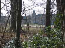 In het bos van het Provinciaal domein Nieuwenhoven